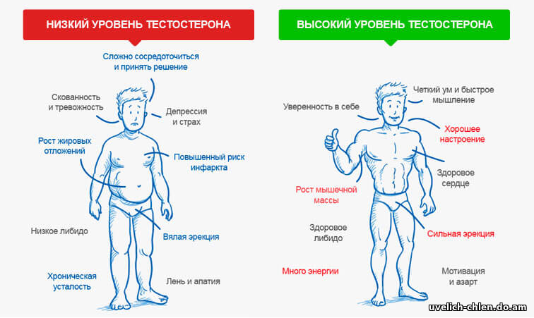 икариин амино плюс купить