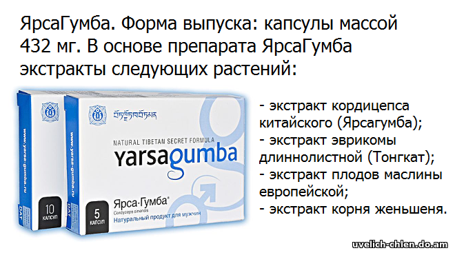 ярсагумба и ярсагумба форте отличия