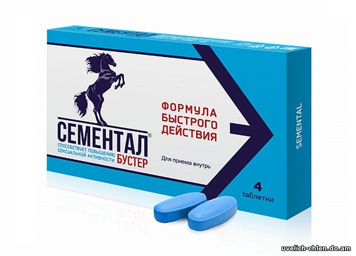 Сементал Бустер купить