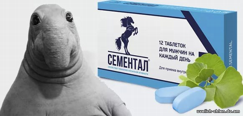 Сементал развод