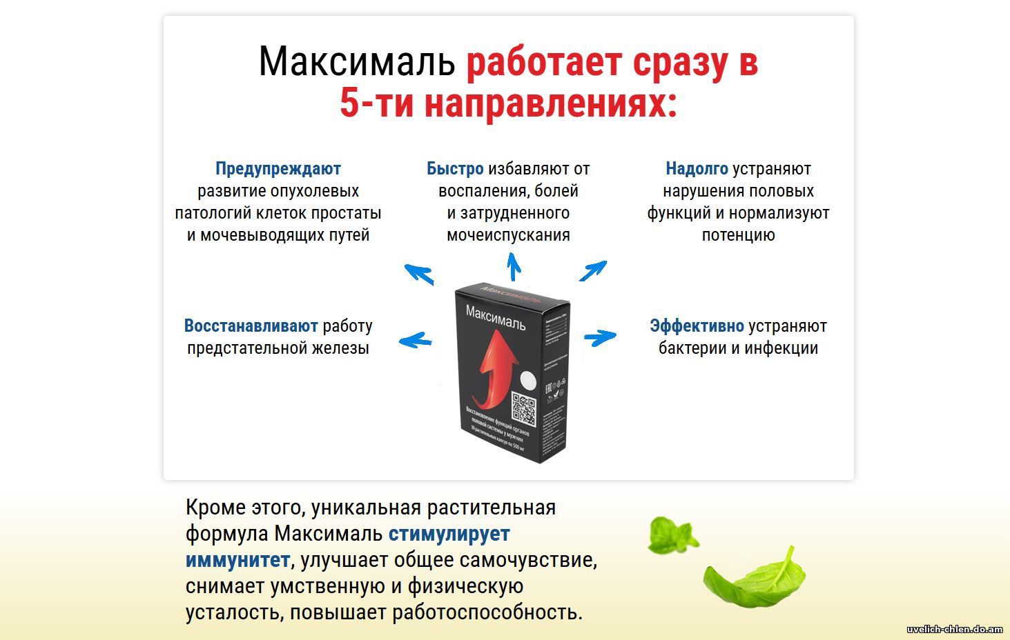 Максималь - капсулы для потенции